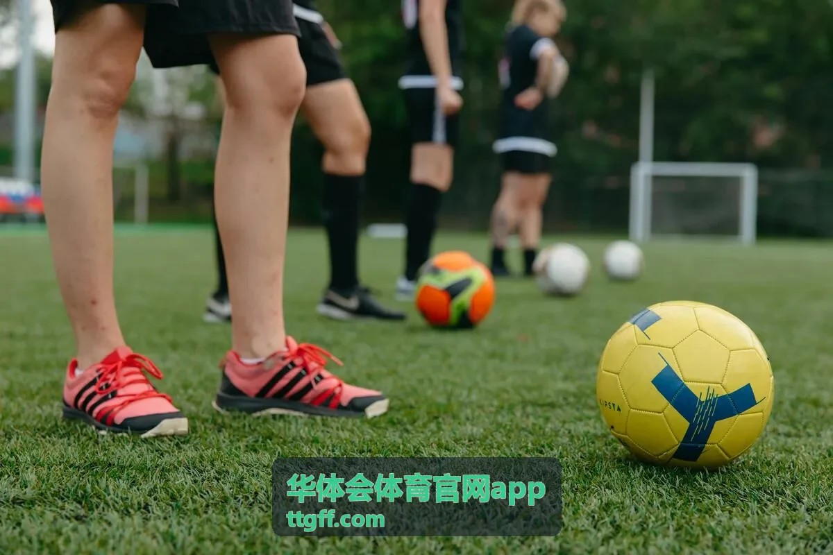 华体会体育官网app 新人礼包主视觉展示